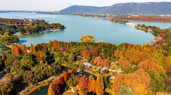 1760432663768355.png image.png