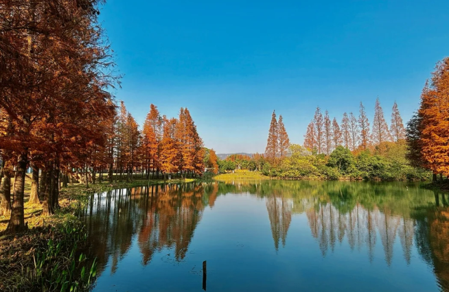 1760432716470729.png image.png