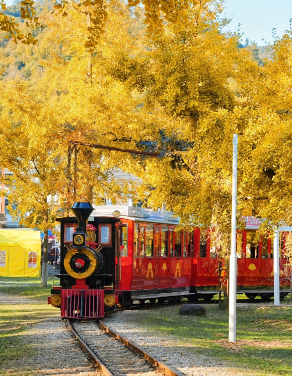 1760433359431119.png image.png