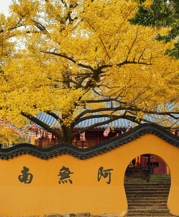 1760433377794846.png image.png