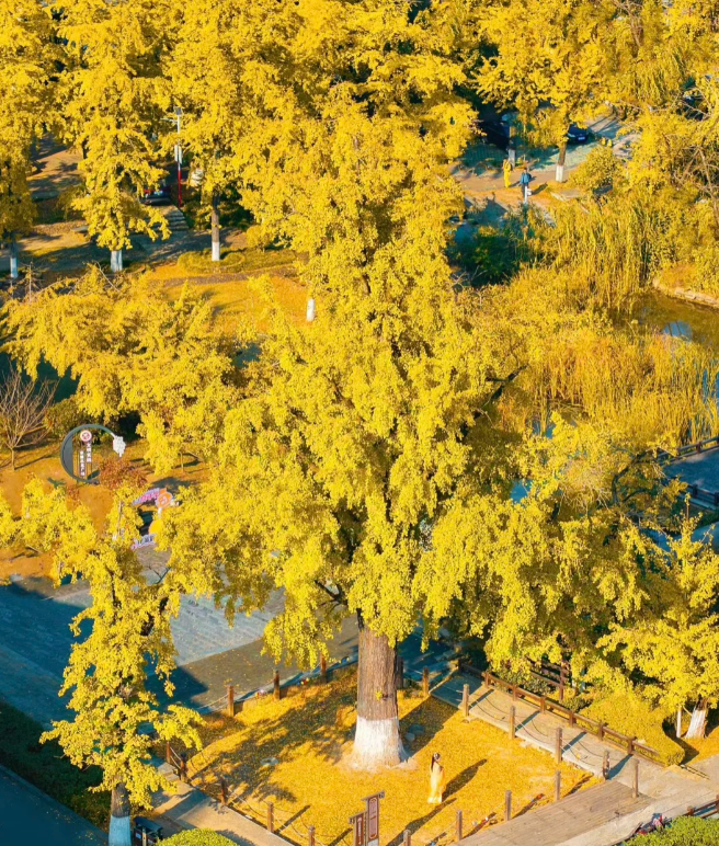 1760433404845836.png image.png