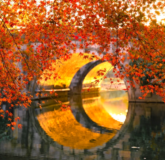 1760437610848847.png image.png