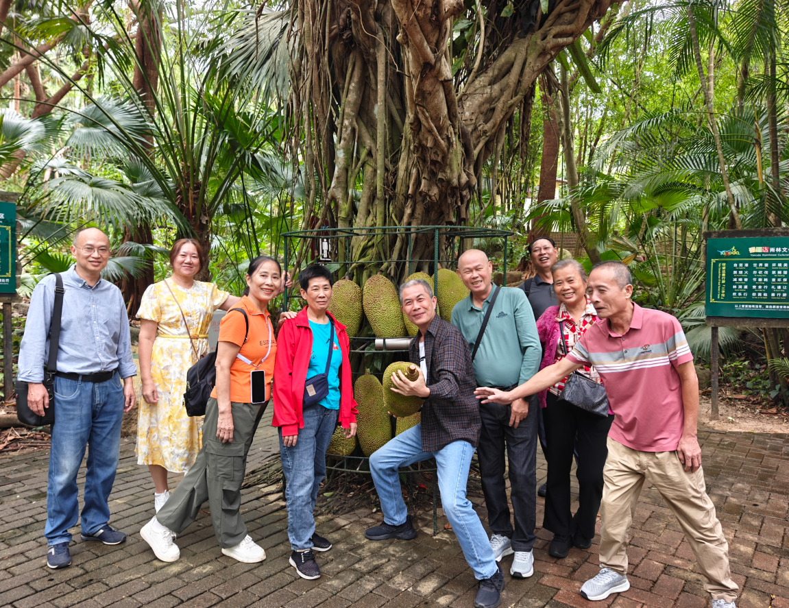 1761708197263980.png image.png