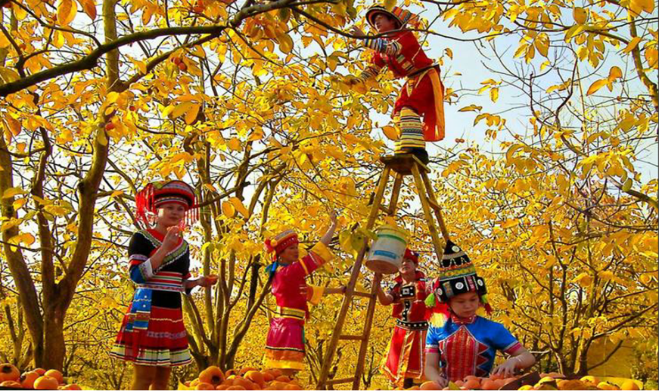 1761789121746118.png d1663775045cba7526b05a7422d6fdb6.png