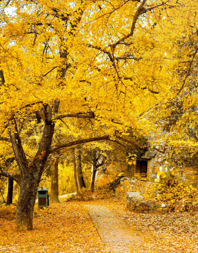 1761810074739556.png image.png