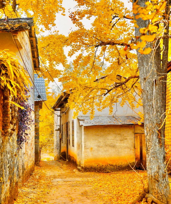 1761810095342574.png image.png