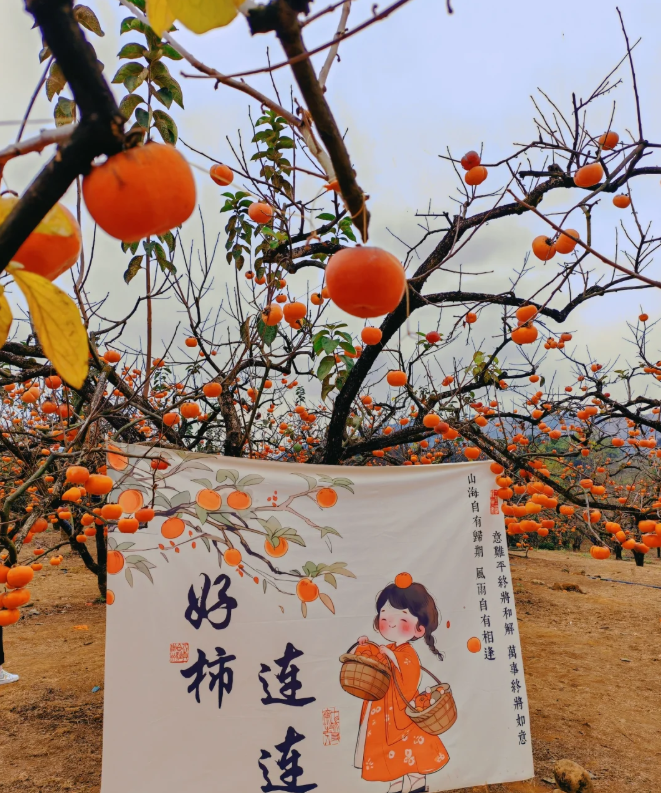 1761809960757911.png image.png