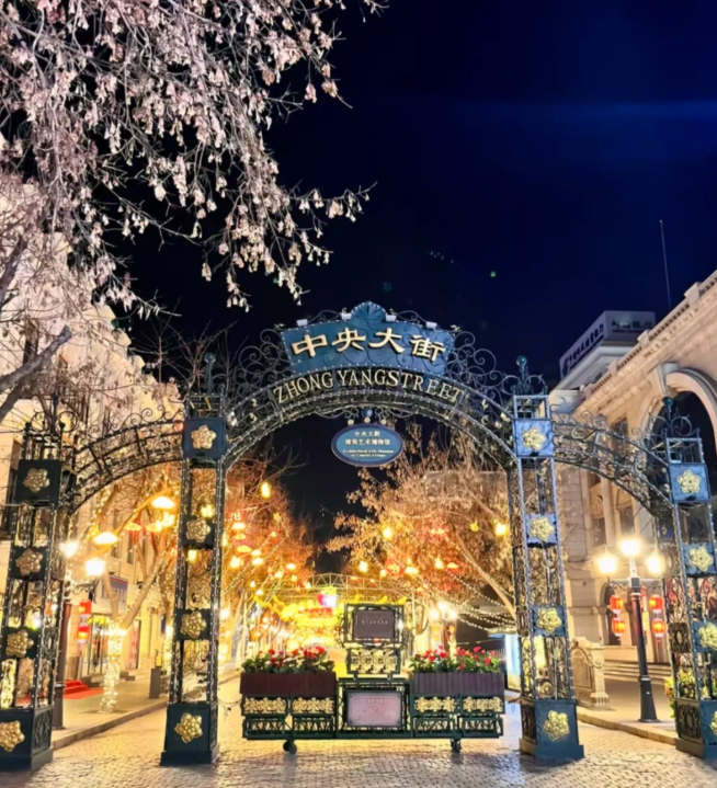 1764062495902837.png image.png