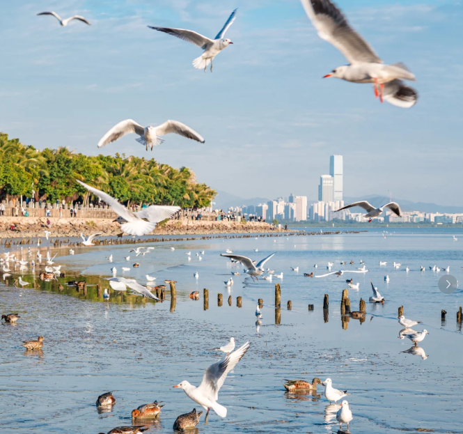 1764661733672680.png image.png