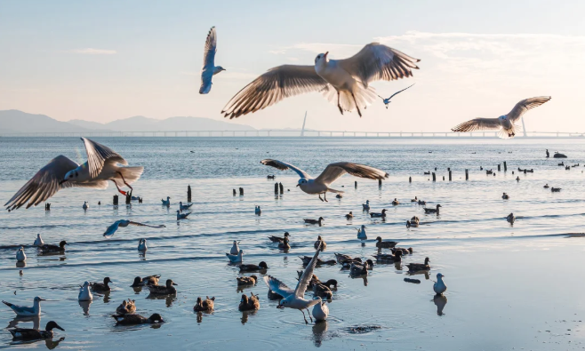 1764661760932518.png image.png