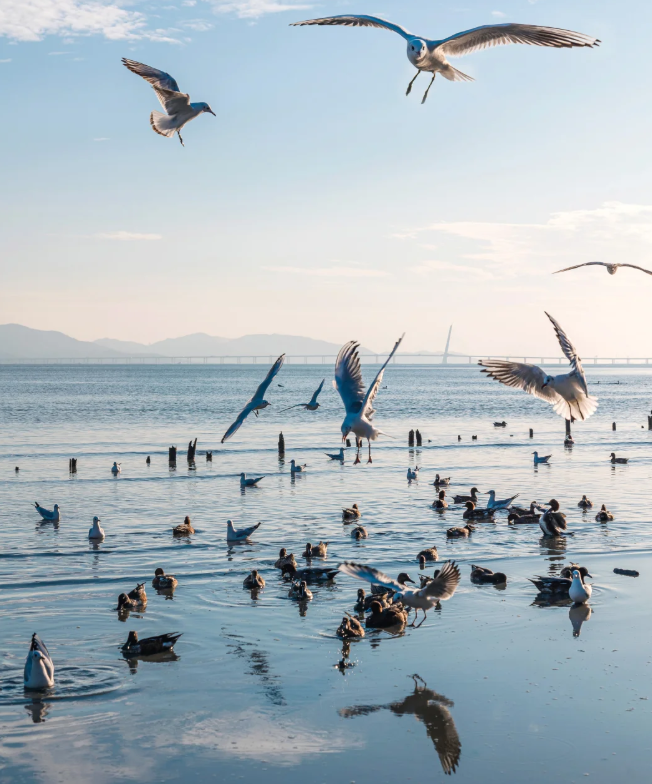 1764661783344109.png image.png