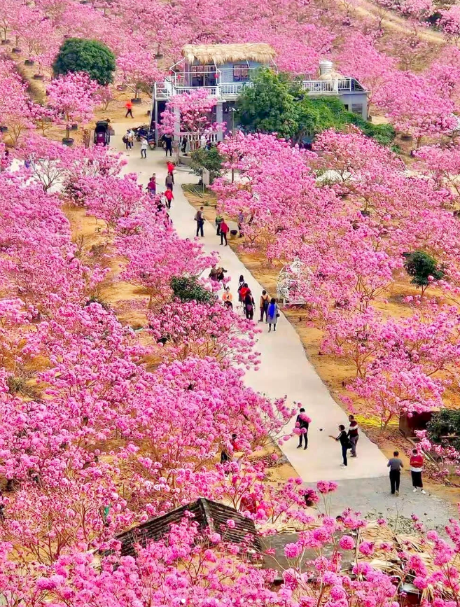 1764663601693021.png image.png