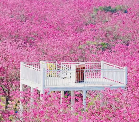 1764663968415207.png image.png