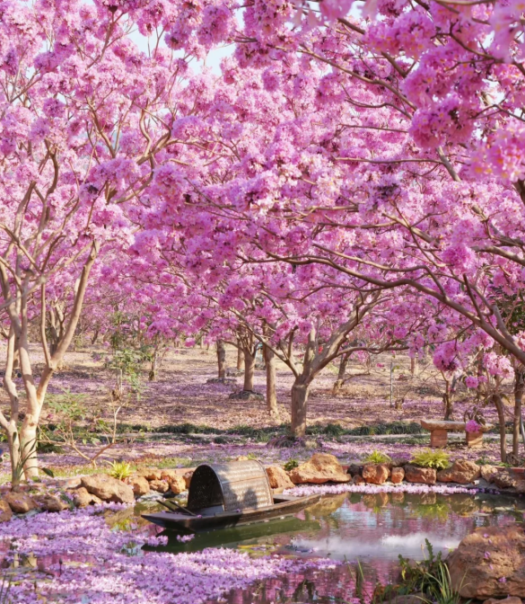 1764663946298883.png image.png