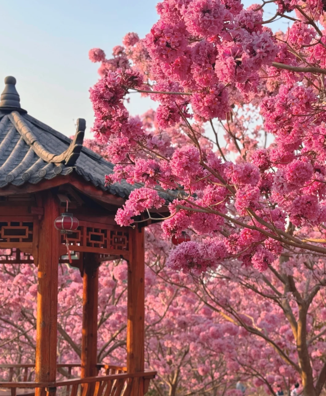 1764664086831600.png image.png