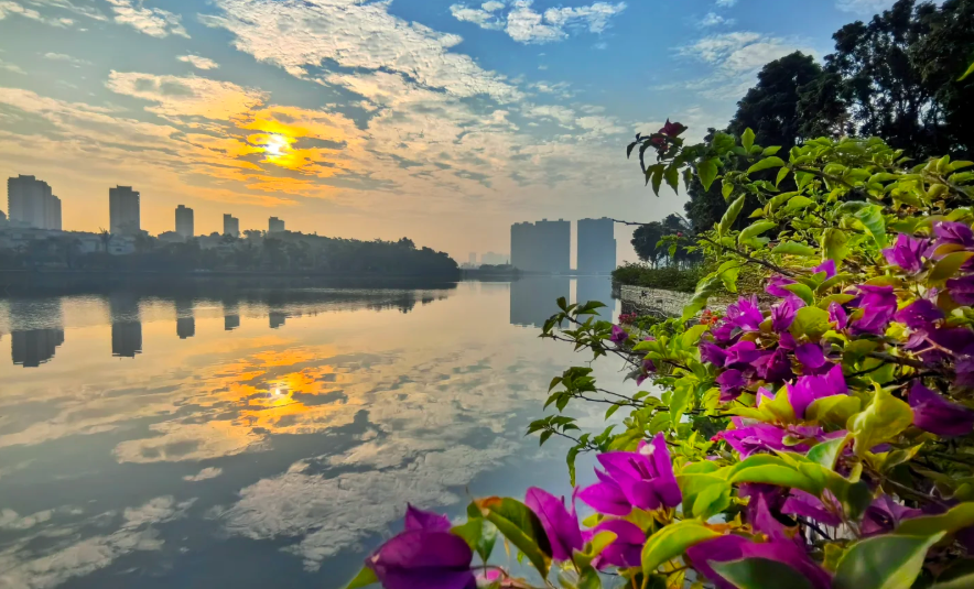 1764924467731193.png image.png