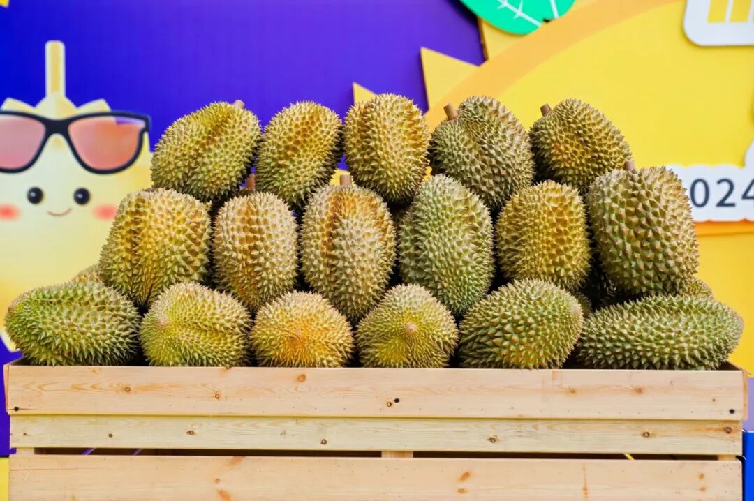 1765182342224009.jpg ff6750898cd369643bf4f2a73e34273e.jpg