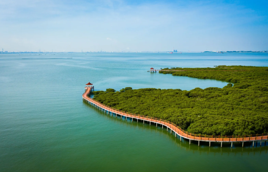 1765272788566884.png image.png