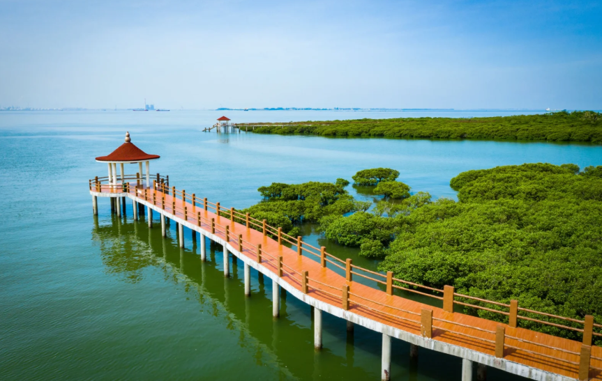 1765272803856657.png image.png