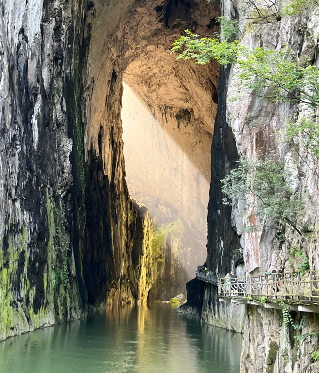 1765441981555312.png image.png