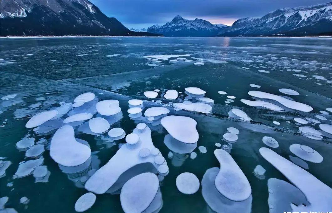 被誉为“蓝冰之眸”的赛里木湖，冬季被冰泡、冰花、冰珊瑚覆盖_新疆