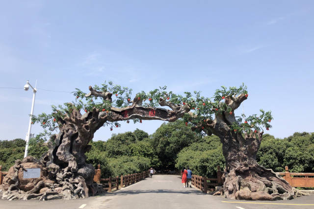 这个周六，一起去高州荔枝贡园赏花叹蜜_南方网