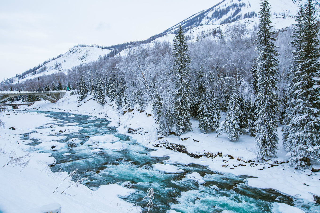 迷失在冬日喀纳斯的冰雪奇缘里-喀纳斯旅游攻略-游记-去哪儿攻略
