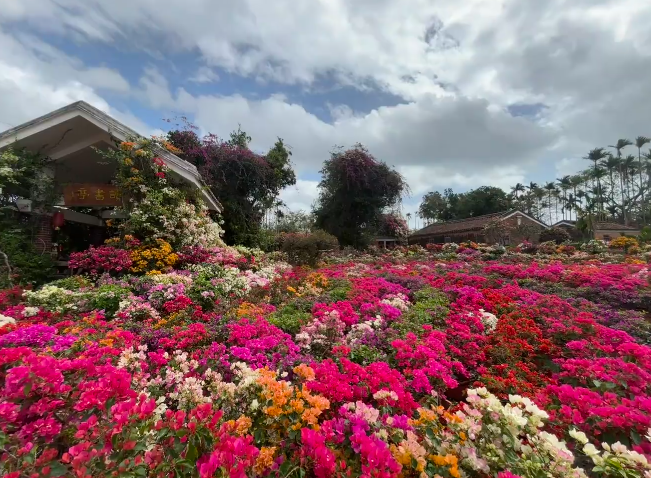 1770713954270981.png image.png