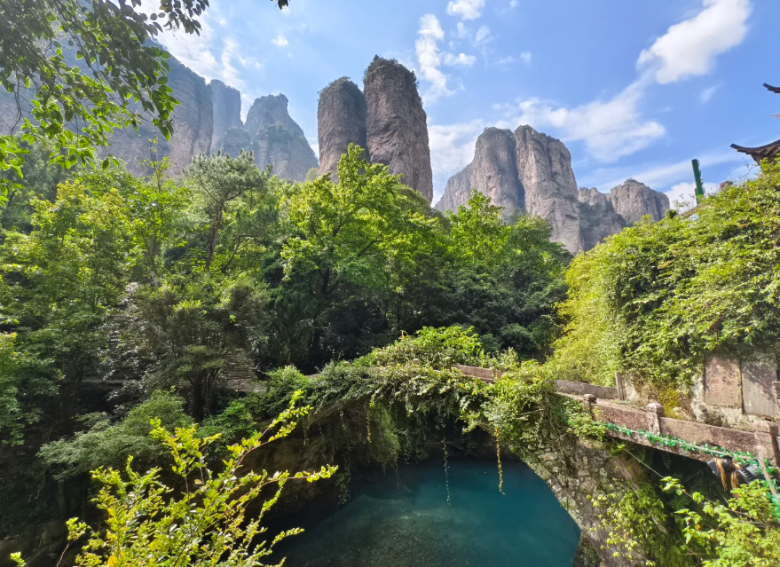 1770785306883535.png image.png