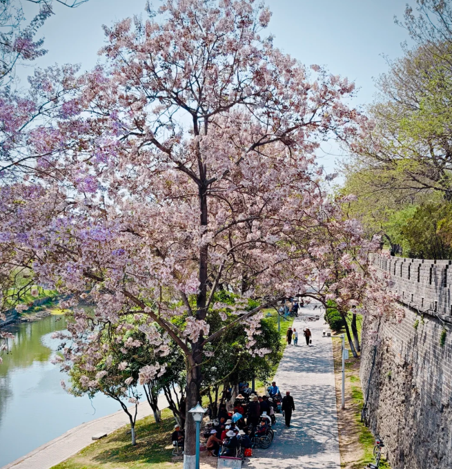 1770867237594494.png image.png