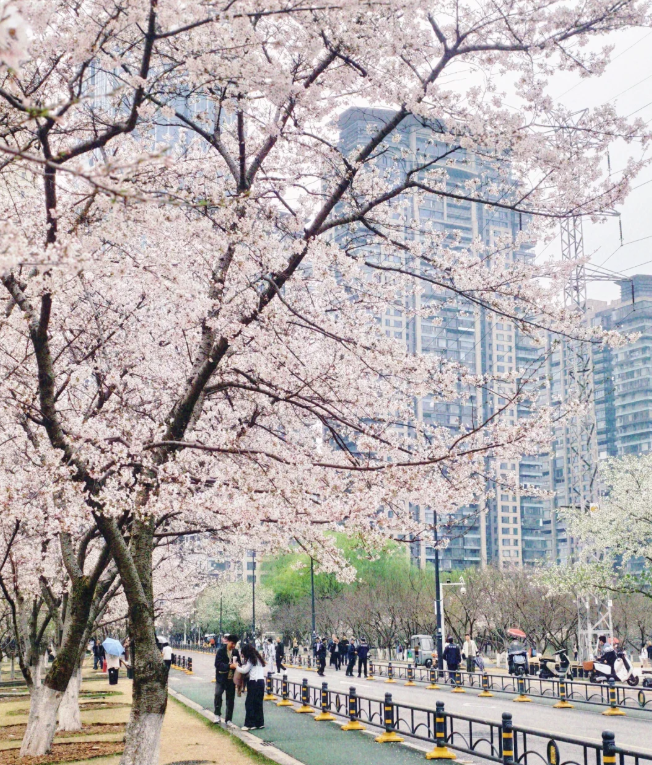 1770876827653376.png image.png