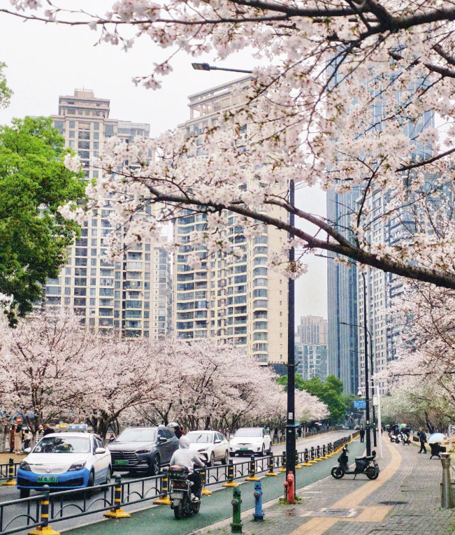 1770876842661659.png image.png