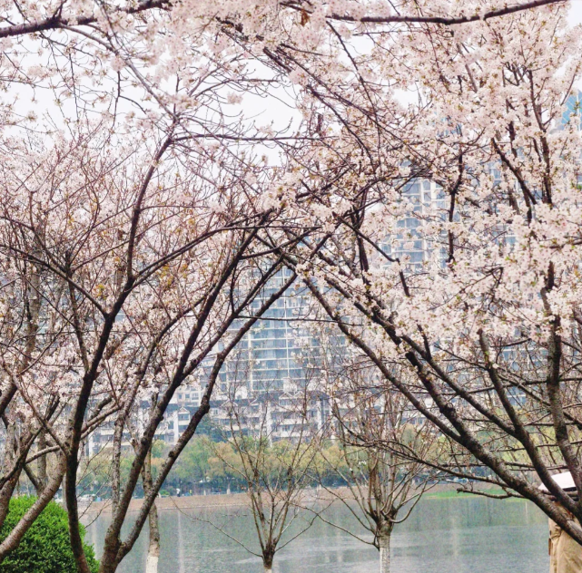 1770876857748337.png image.png