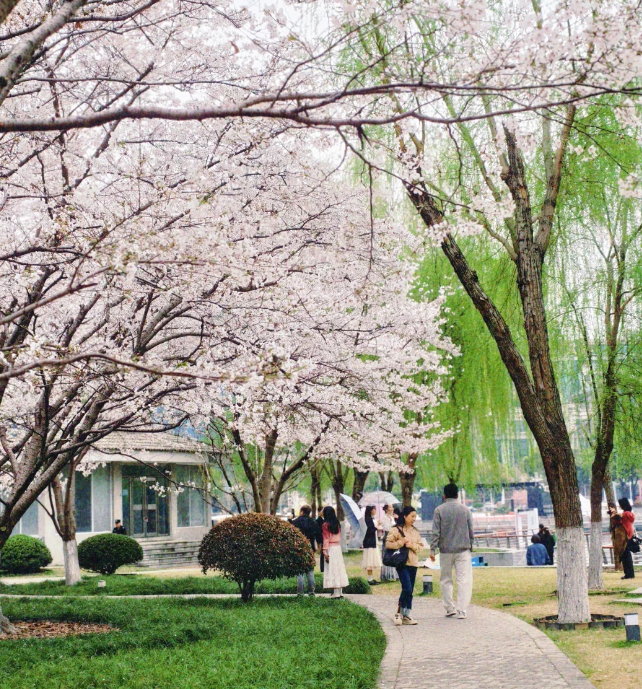 1770876869549424.png image.png