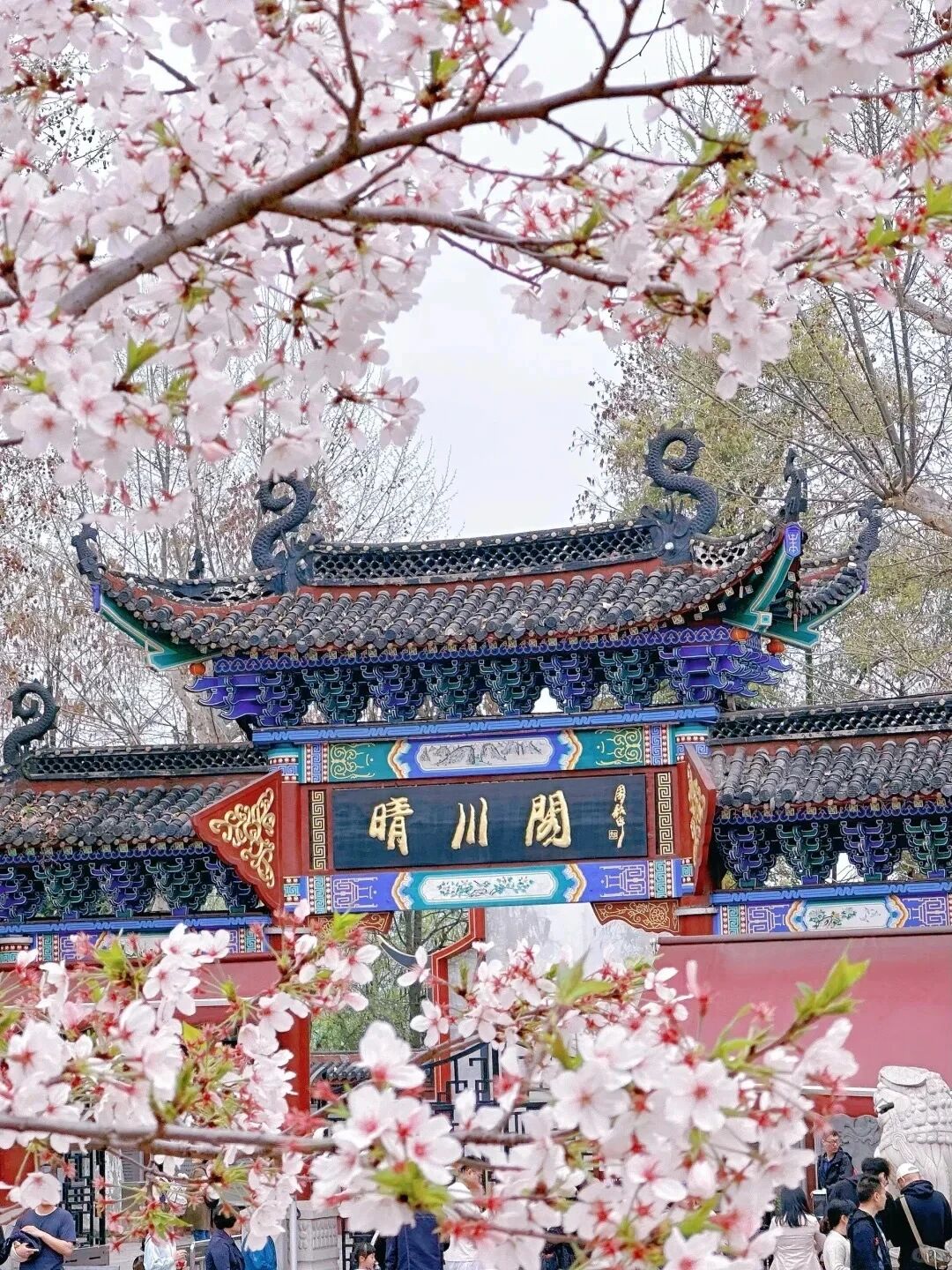 1770878892741475.jpg 8489bfc0c18901bf8acd5694bd3f8a54.jpg