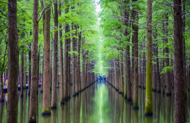 1770886983438484.png image.png