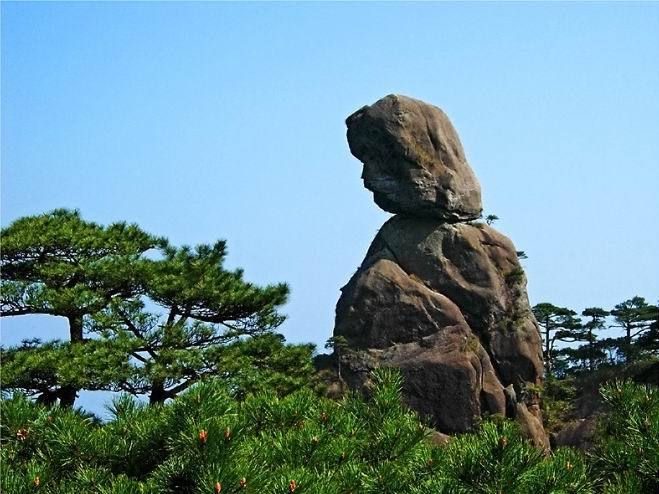 南清园景区图册_360百科