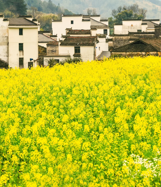 1770948543549357.png image.png