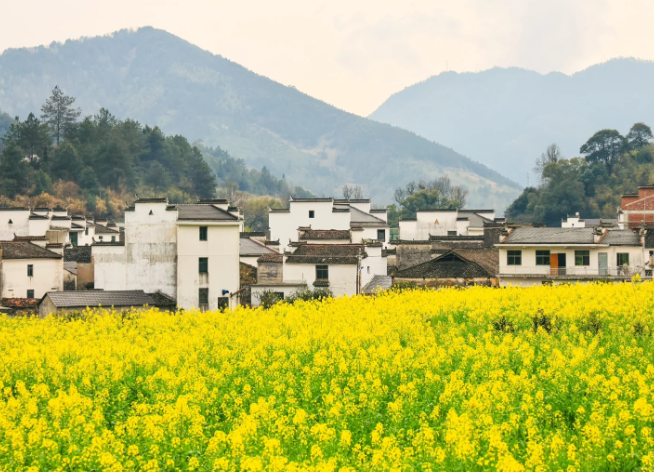 1770948557160916.png image.png