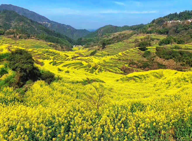 1770948396953940.png image.png