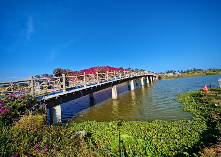 1770955907493334.png image.png