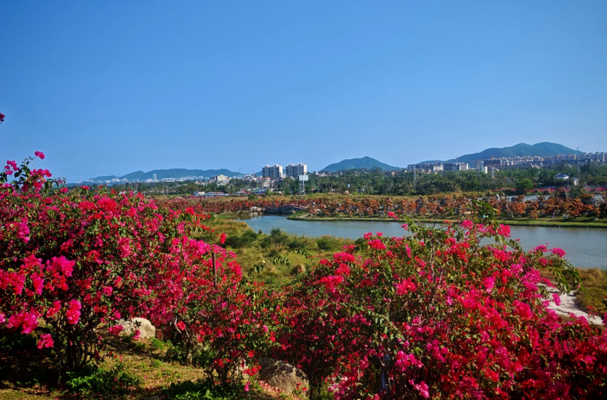 1770955946263366.png image.png