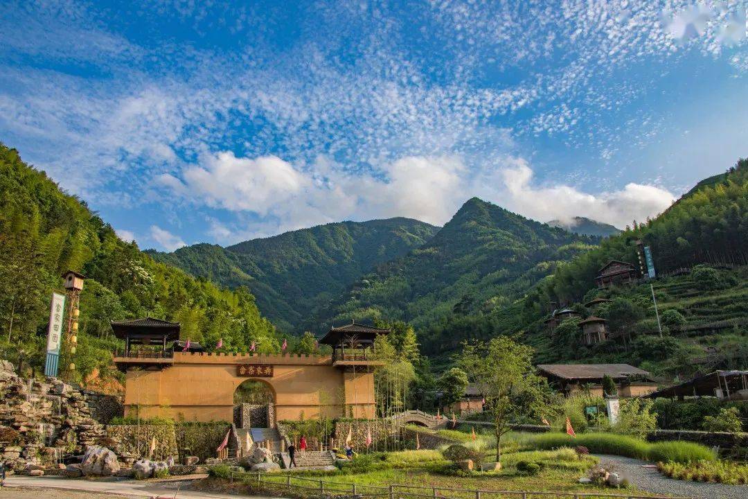 跑男在景宁!快来打卡同款“天空之城”“畲乡田园”吧…_悬崖_温泉度假村_泳池