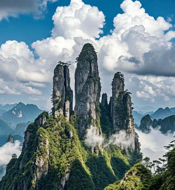 1772765148380659.png image.png