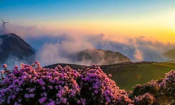 2025乌蒙大草原-旅游攻略-门票-地址-问答-游记点评，盘州旅游旅游景点推荐-去哪儿攻略