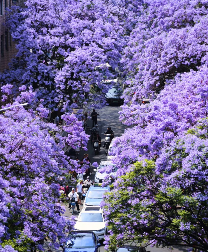 1774409489390353.png image.png