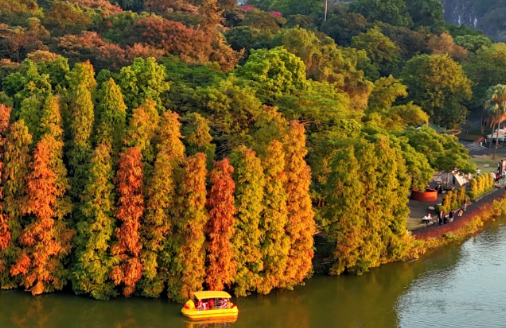 【每周五发团】 肇庆七星岩·鼎湖山·游山玩水纯玩3日游！ 1249元/人！宋城墙-宋城骑楼街-七星岩风景区-赤坎老街。30人 成团发班