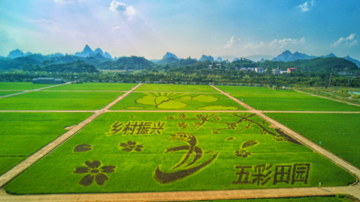 仙洞仙花一园景，五彩玉林踏春行-真纯玩美食汽车3日游！【4月20号发班】70岁以下919元/人,  ​70岁以上889元/人。柏桥服务区-茂名露天矿公园-杏花村-仙人洞—玉林五彩田园-外观云天宫-玉林水街-玉林园博园！